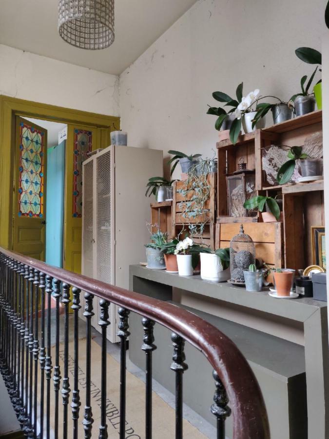 市内和树下住宿加早餐旅馆 蒙彼利埃 外观 照片